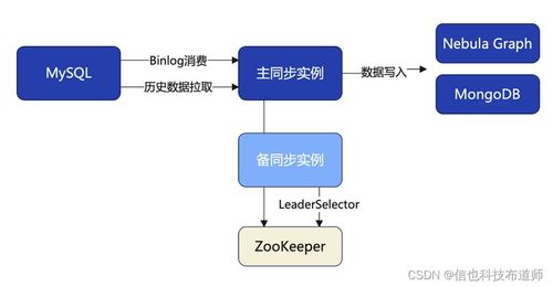 信也科技推出国际业务图数据库 以多点关联构筑反诈防护墙
